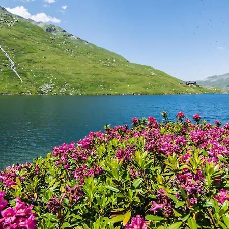 Chalet Des Abeilles *
